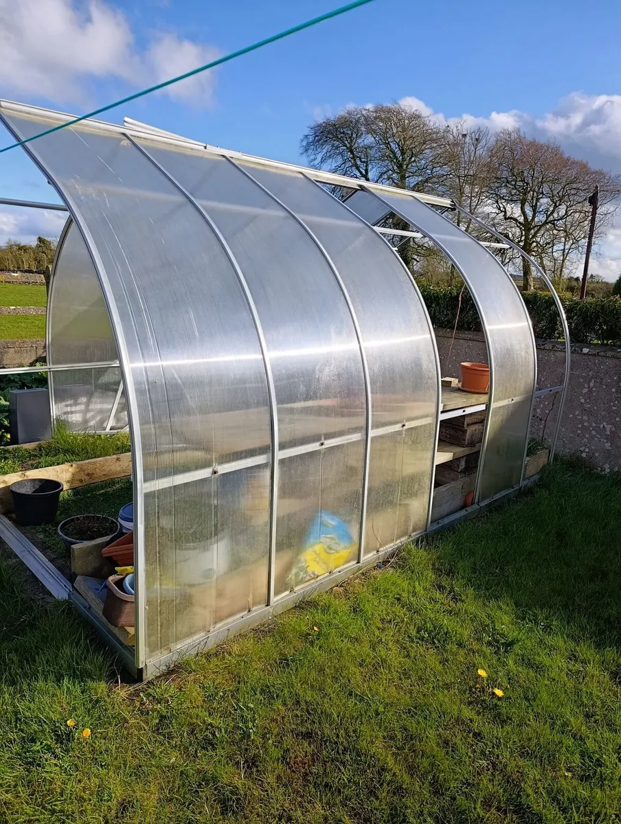 Glasshouse free to take away - Image 2
