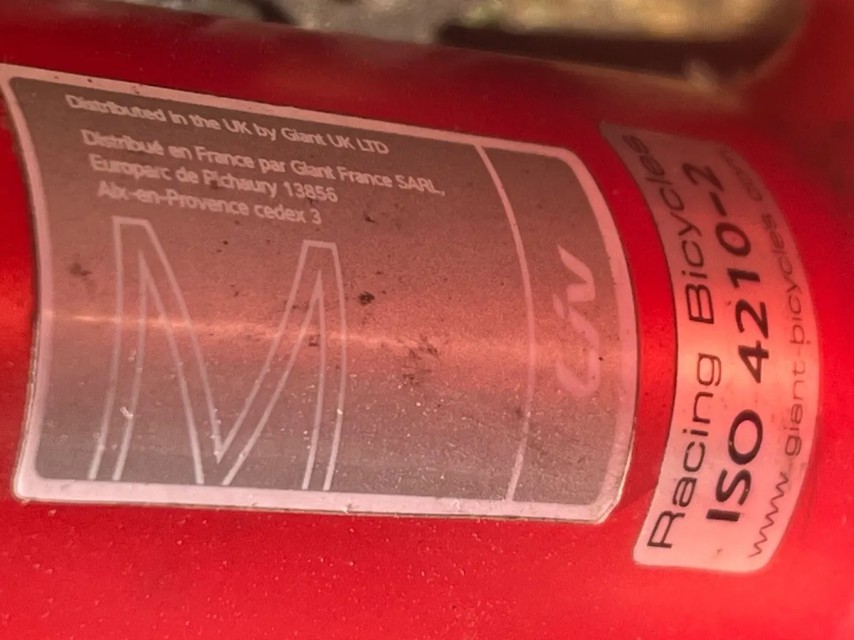 Liv Avail SL2 2019 Women’s Road Bike - Image 2