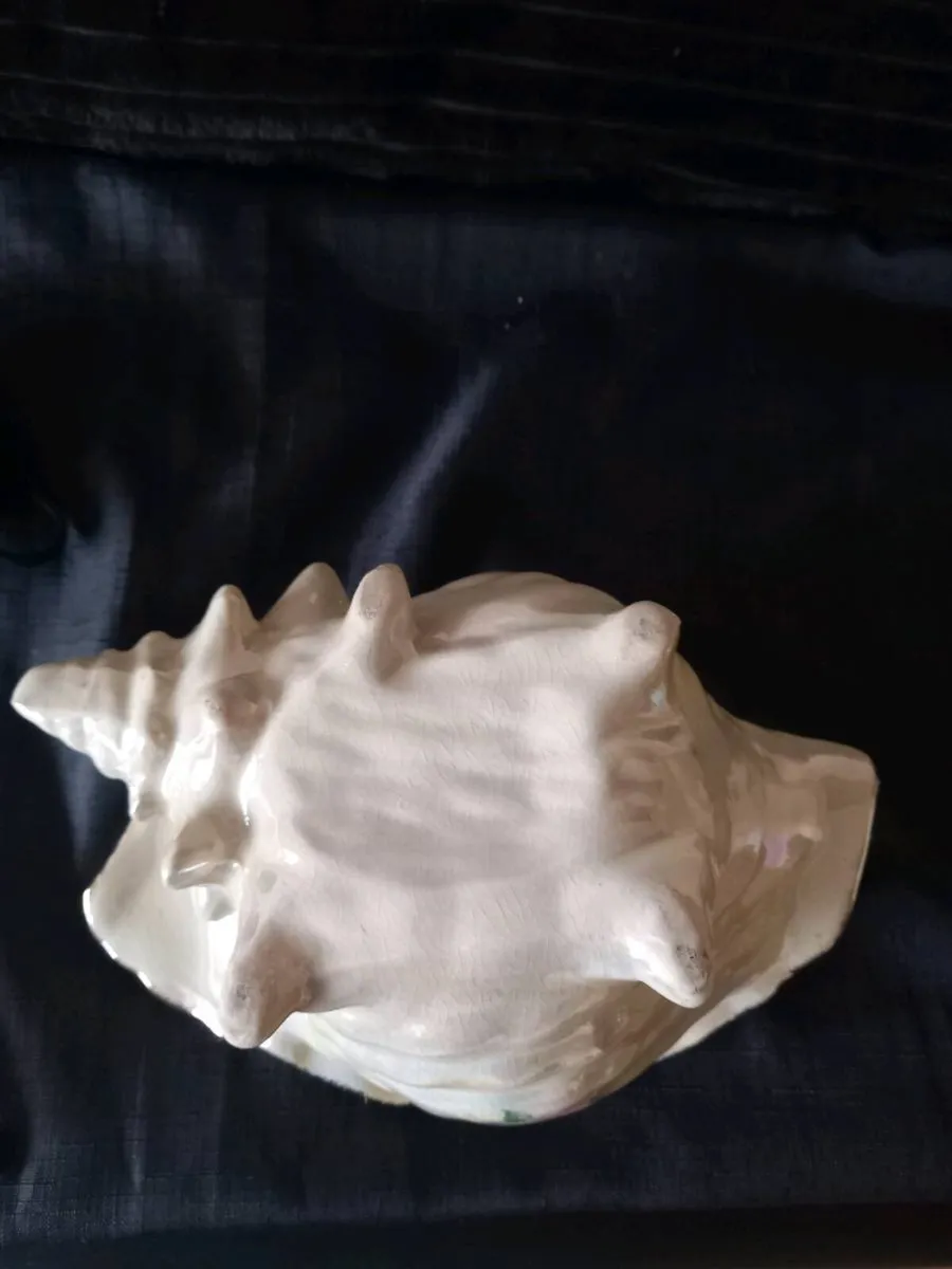2 Conch Shell Planters - Image 3