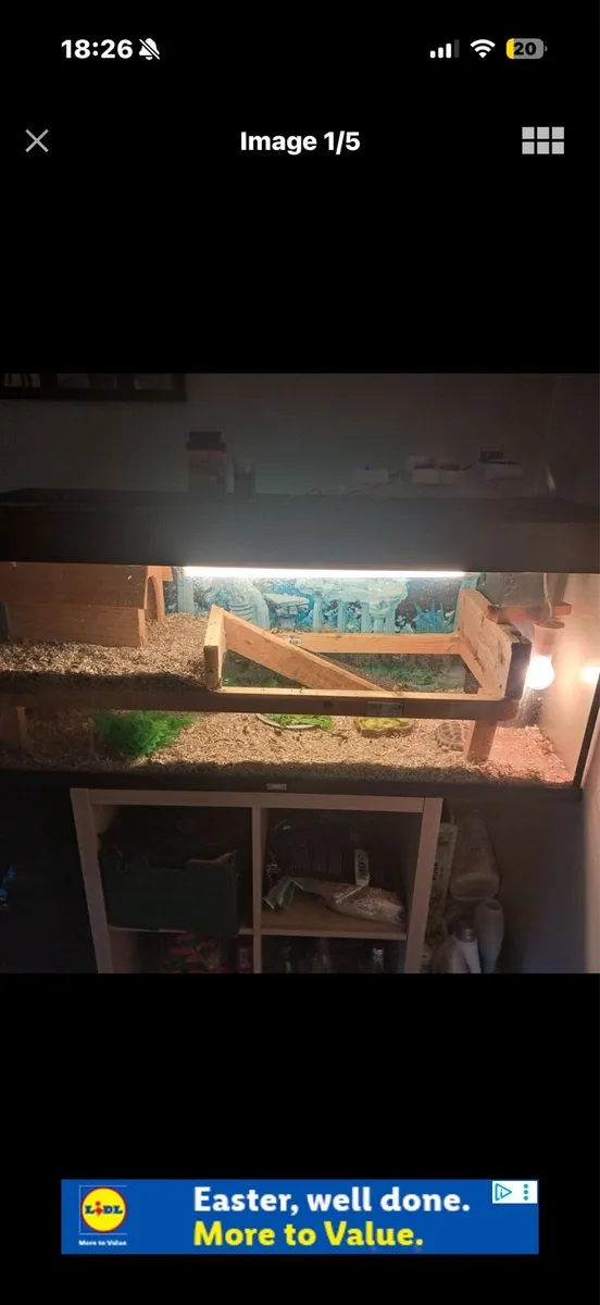 Tortoise and tank - Image 1