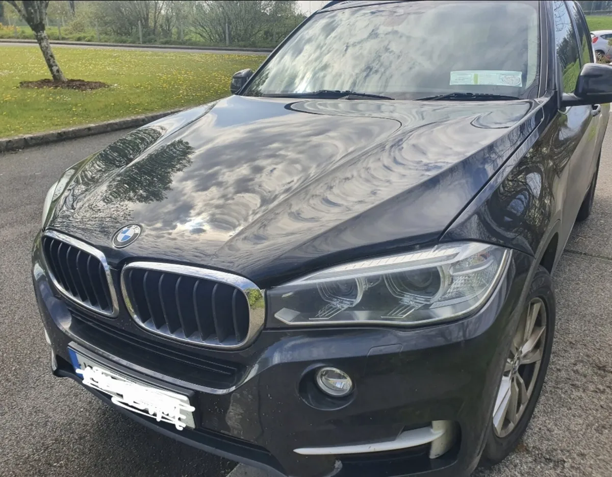 X5 xDrive30d - Image 1