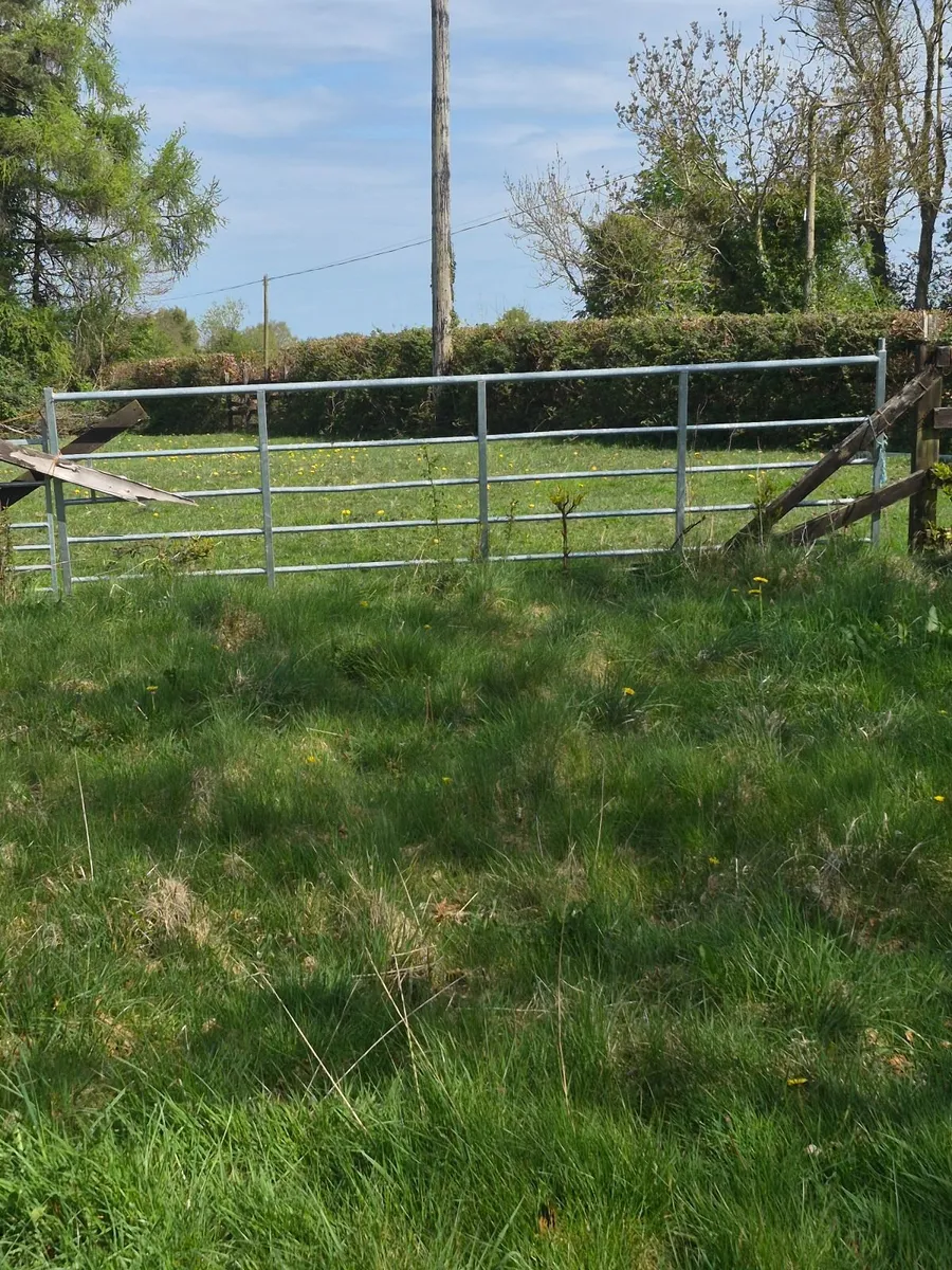 Field gates - Image 3