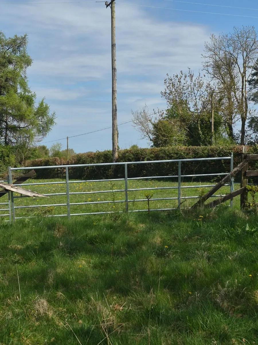 Field gates - Image 1