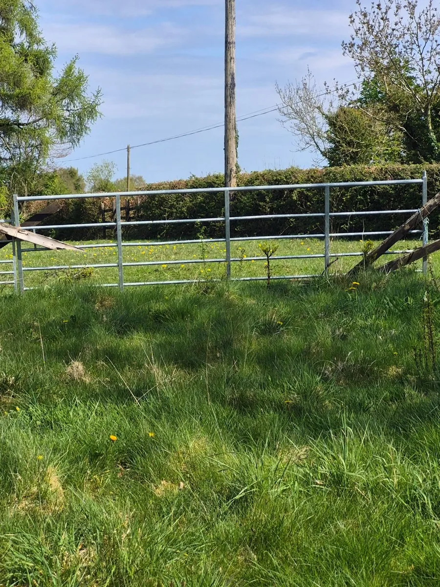 Field gates - Image 2