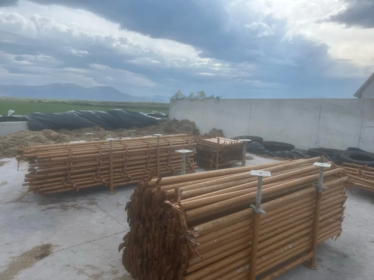 Scaffolding - Image 2