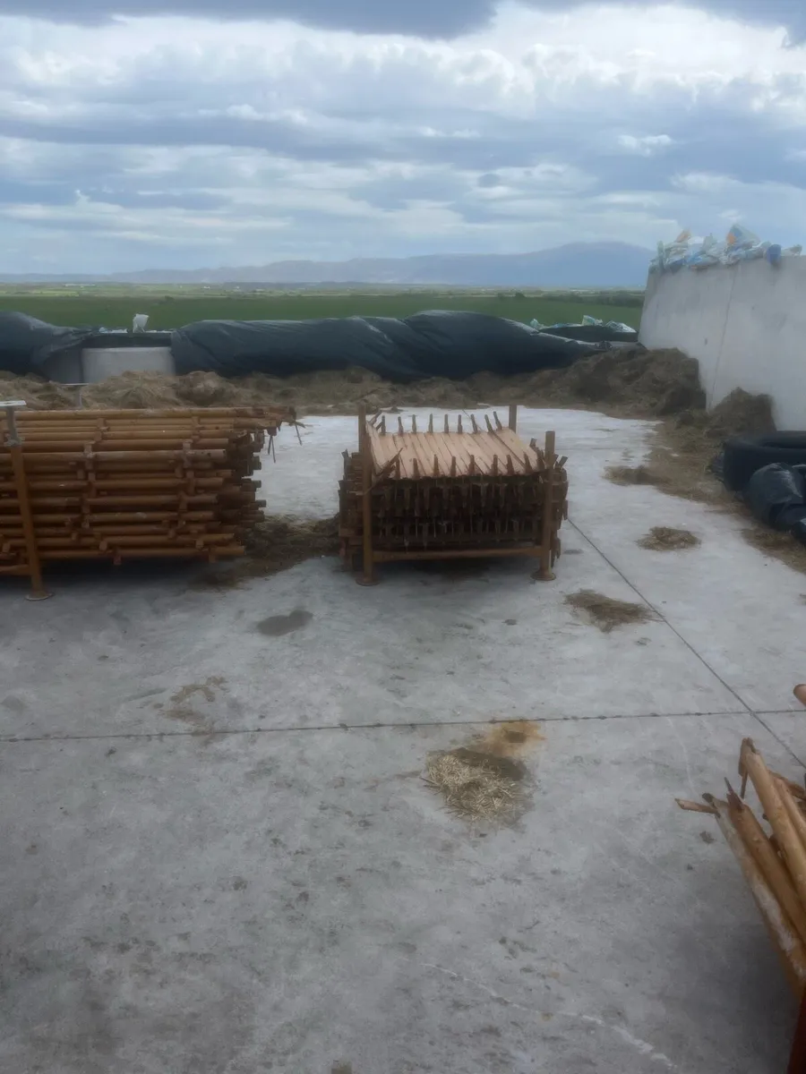 Scaffolding - Image 3