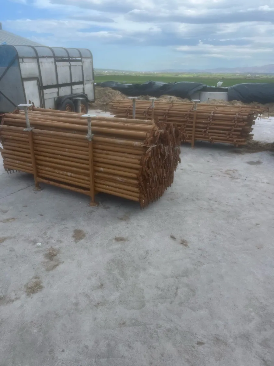 Scaffolding - Image 4