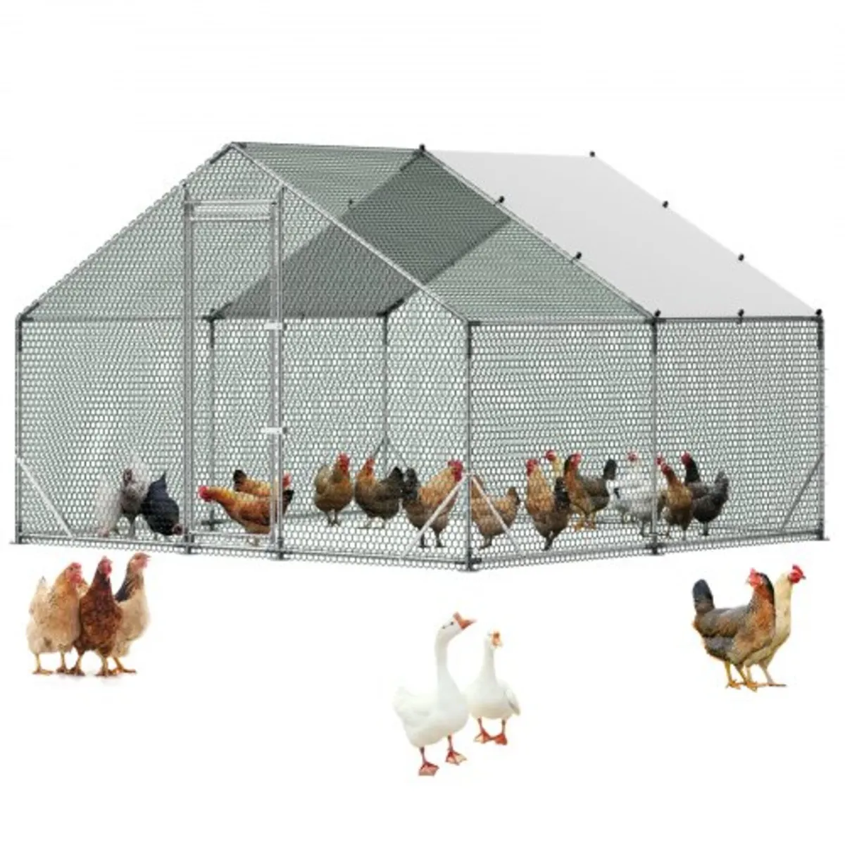Large Metal Chicken Coop, 3 x 3 x 2 m, Walk-in Chi - Image 1