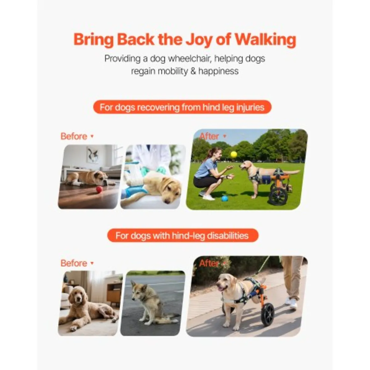 Dog Wheelchair for Back Legs, Lightweight 2 Wheels - Image 2