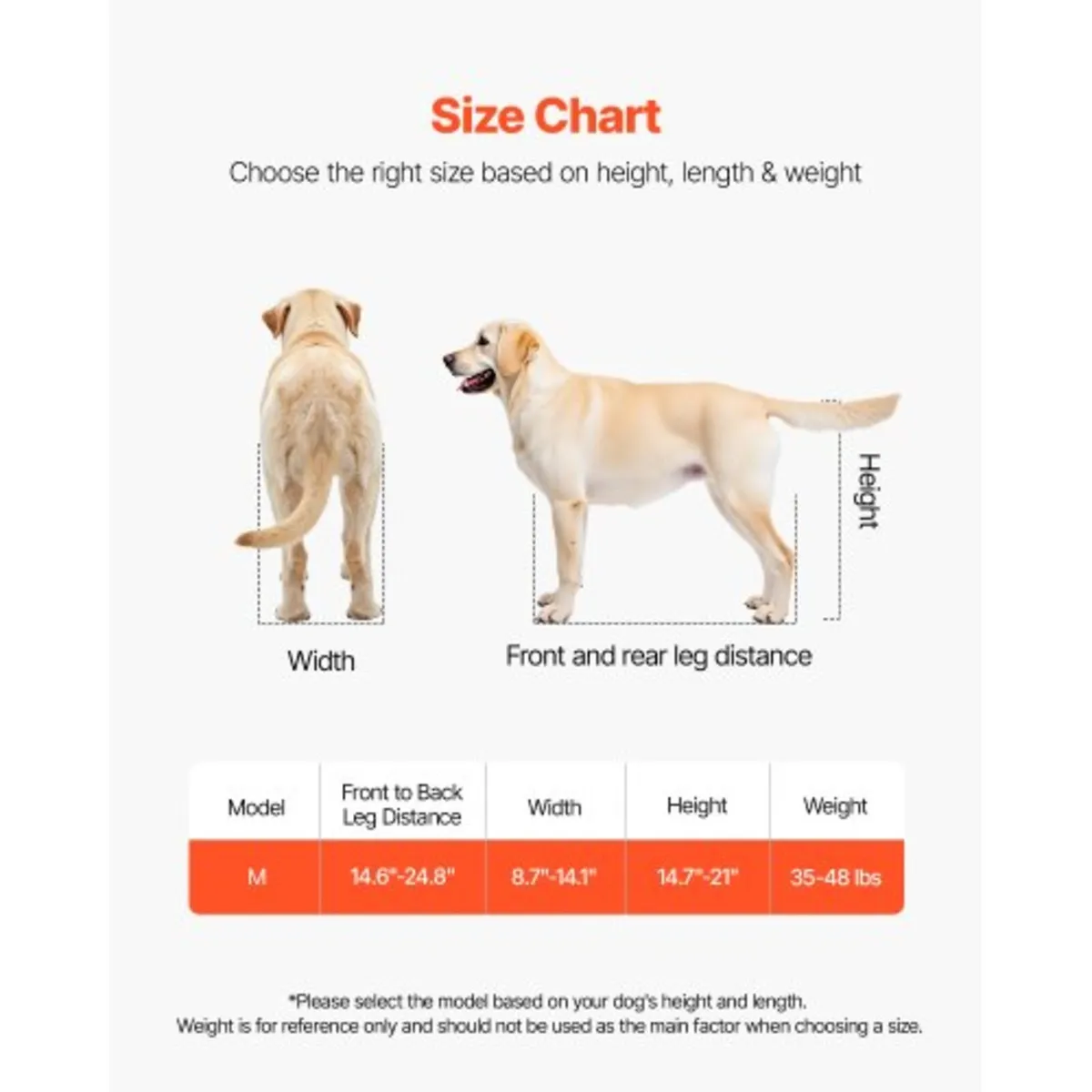 Dog Wheelchair for Back Legs, Lightweight 2 Wheels - Image 3