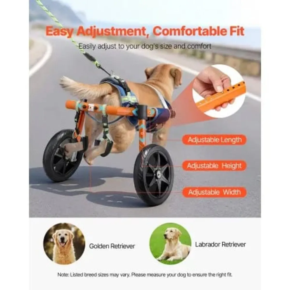 Dog Wheelchair for Back Legs, Lightweight 2 Wheels - Image 4