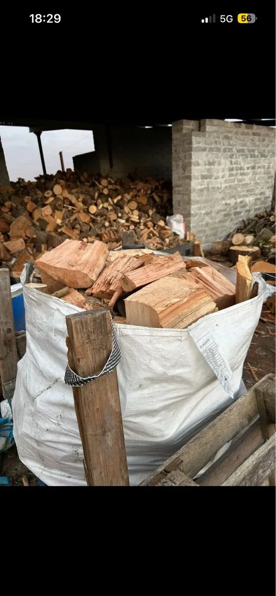 Firewood - Image 4