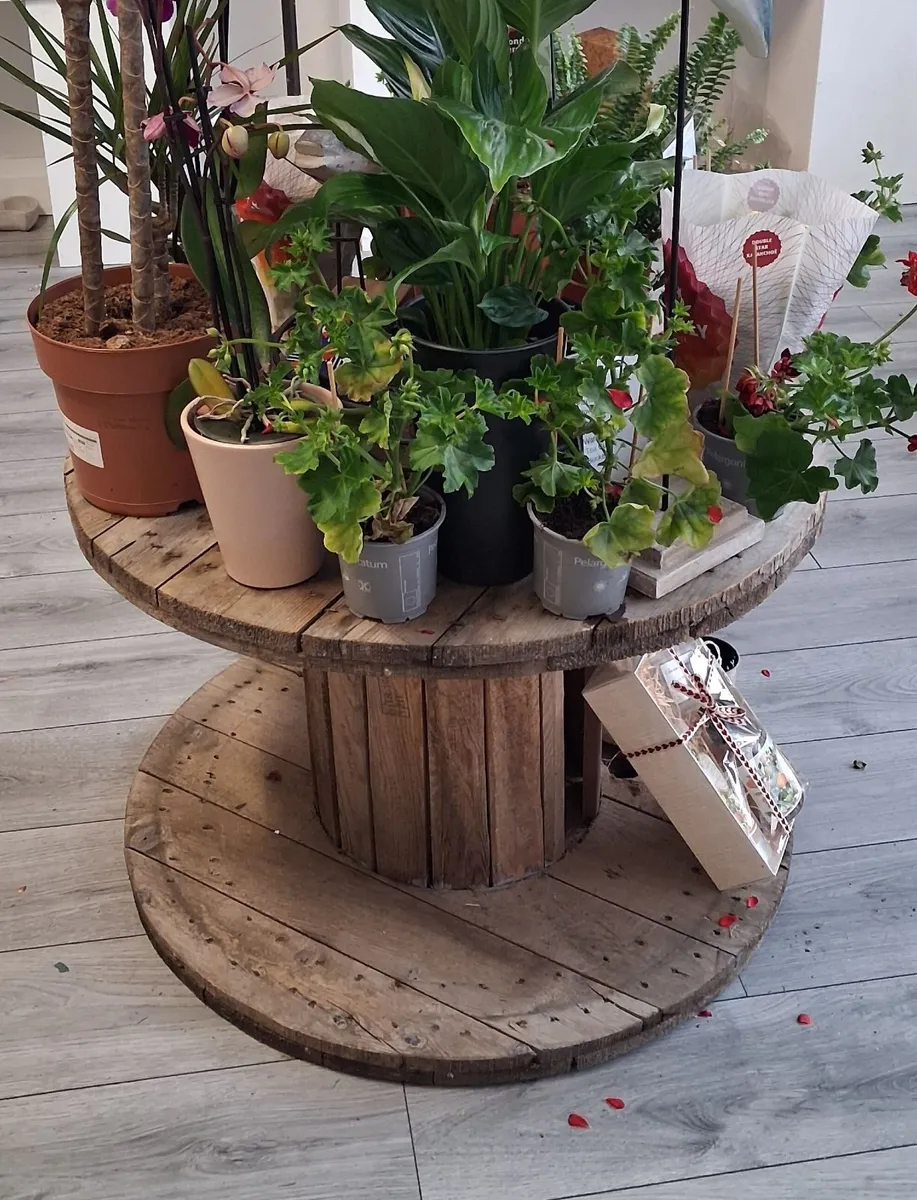 Wooden cable reels - Image 3