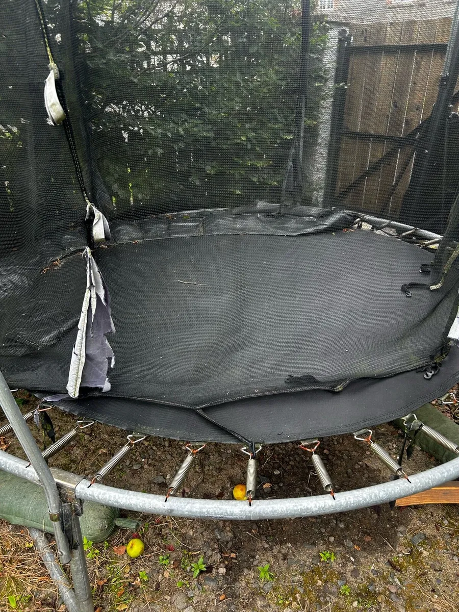 Free 8ft Plum trampoline - Image 2