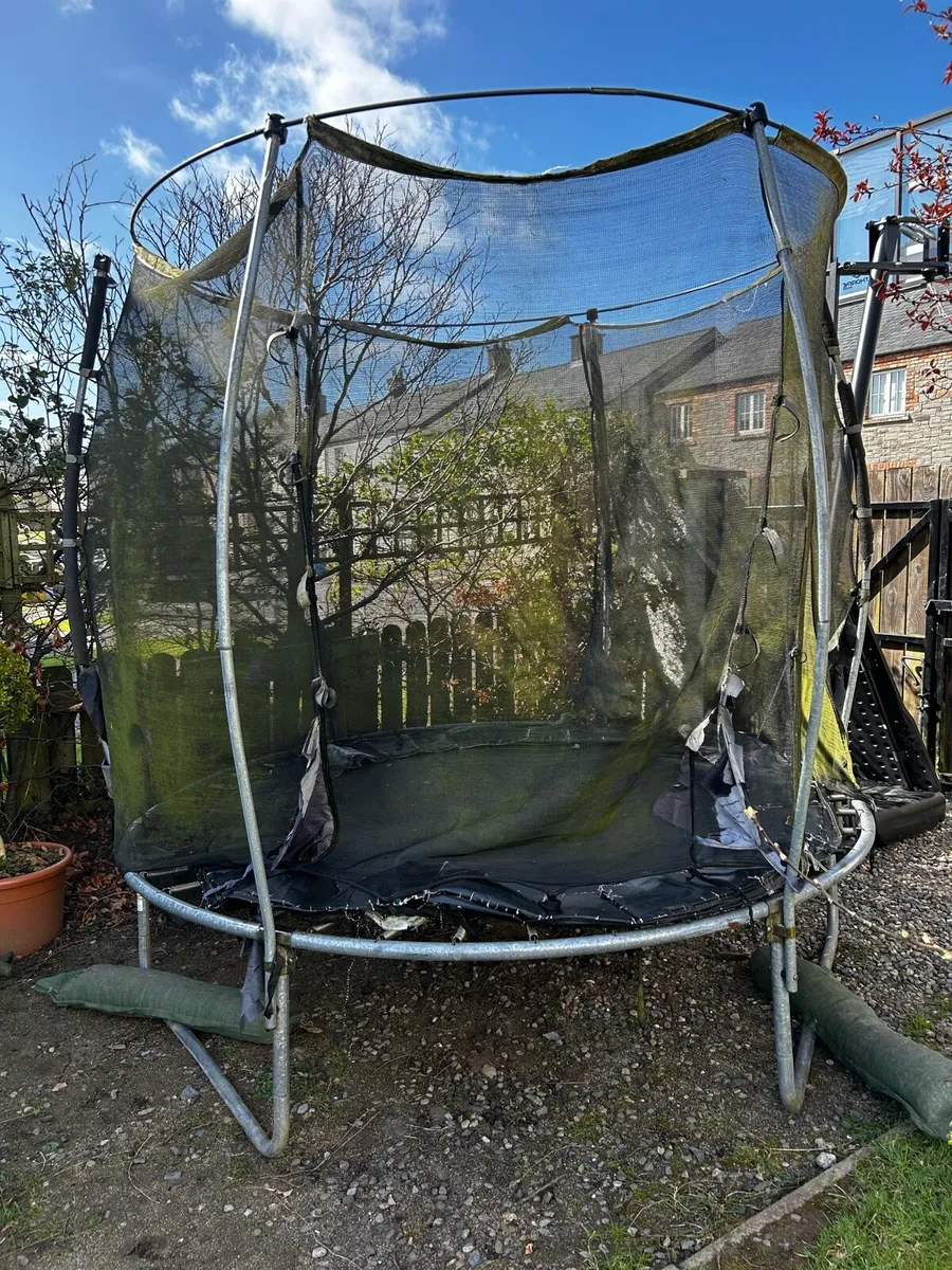 Free 8ft Plum trampoline - Image 1