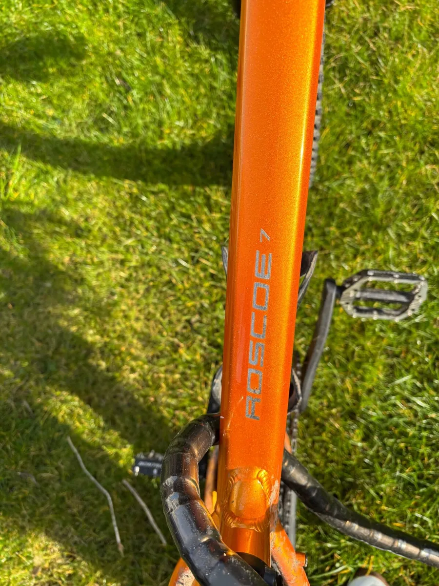 Mountain bike - Image 1