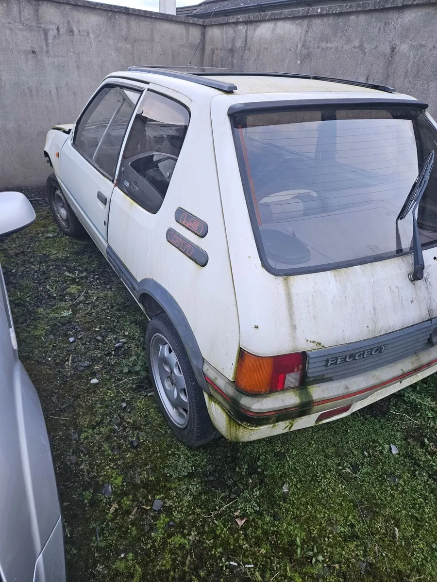 Peugeot  205 1.9 gti - Image 1