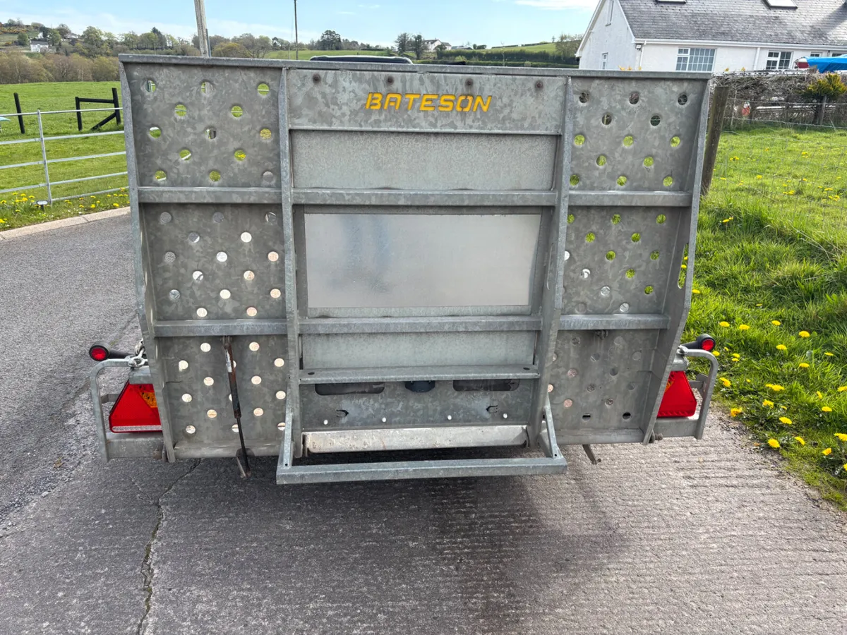 Bateson 10ft x 5ft 5” plant trailer - Image 4