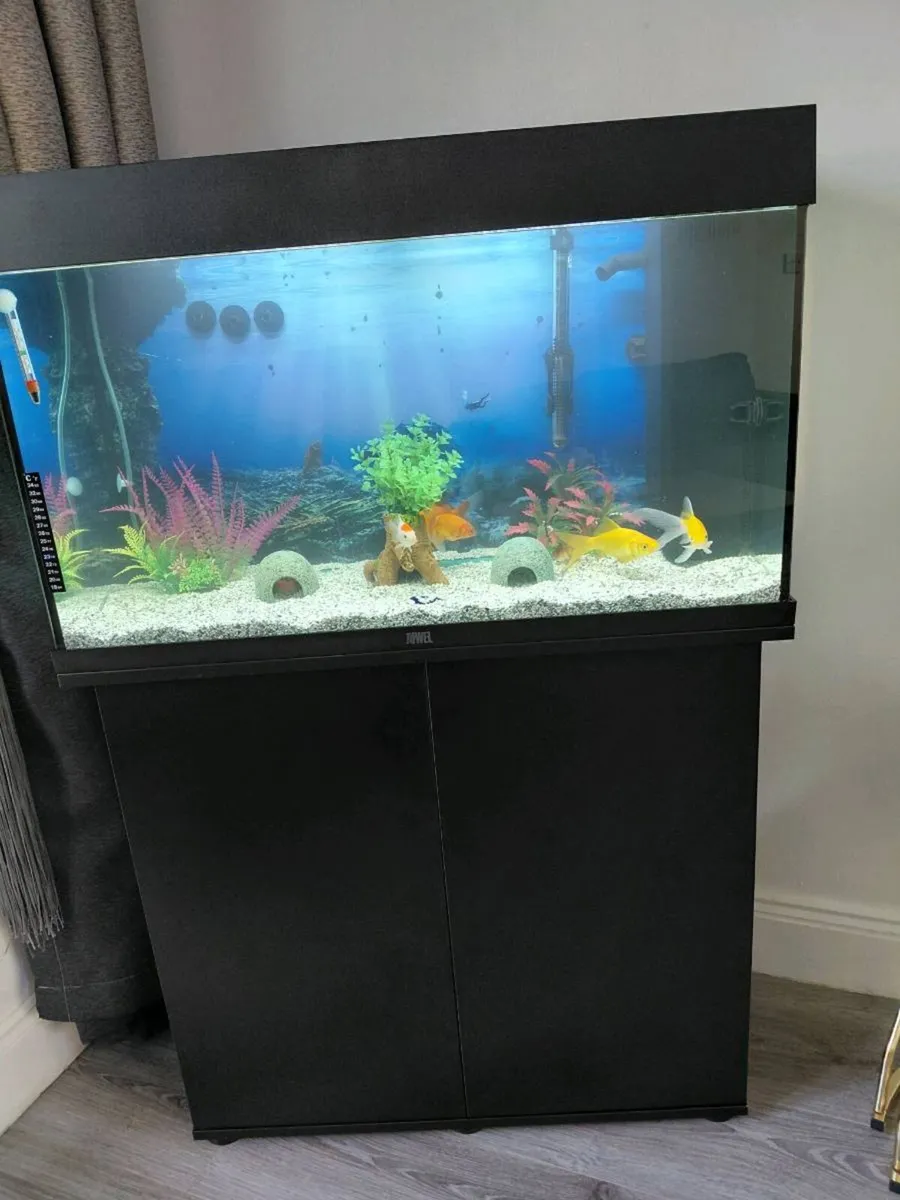 Fish tank - Image 1