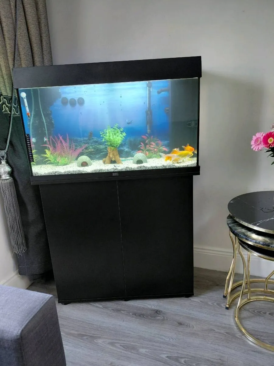 Fish tank - Image 2