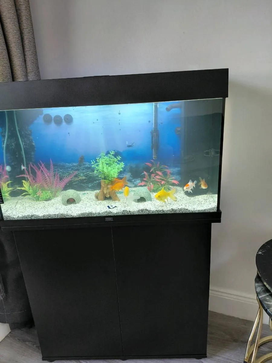 Fish tank - Image 3