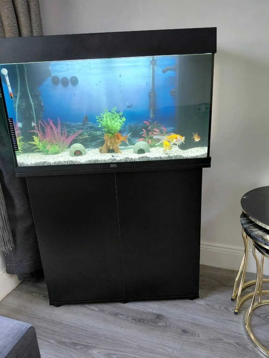 Fish tank - Image 4