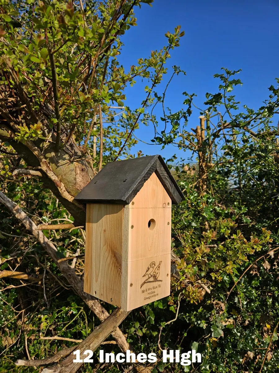 Bird boxes - Image 4