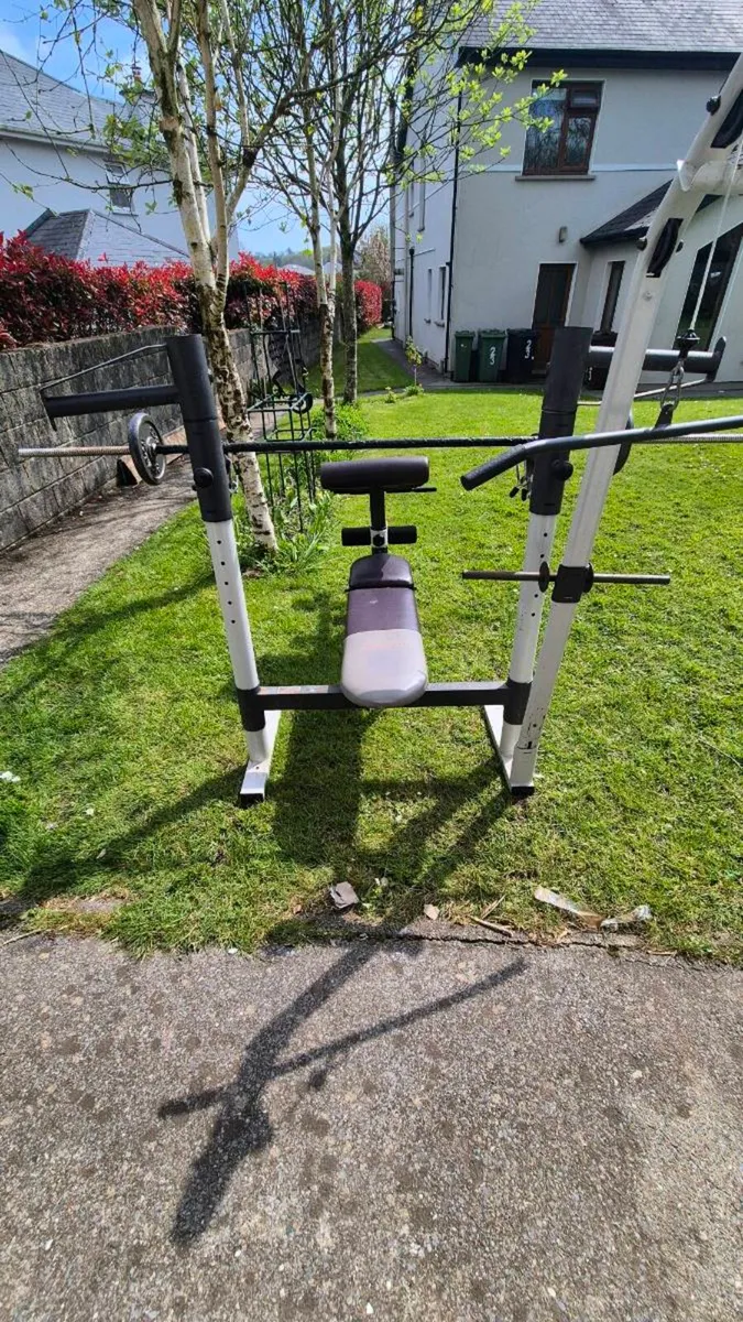 Weights Bench - Image 1