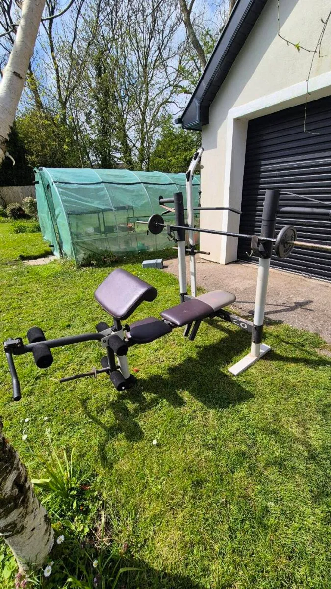 Weights Bench - Image 3