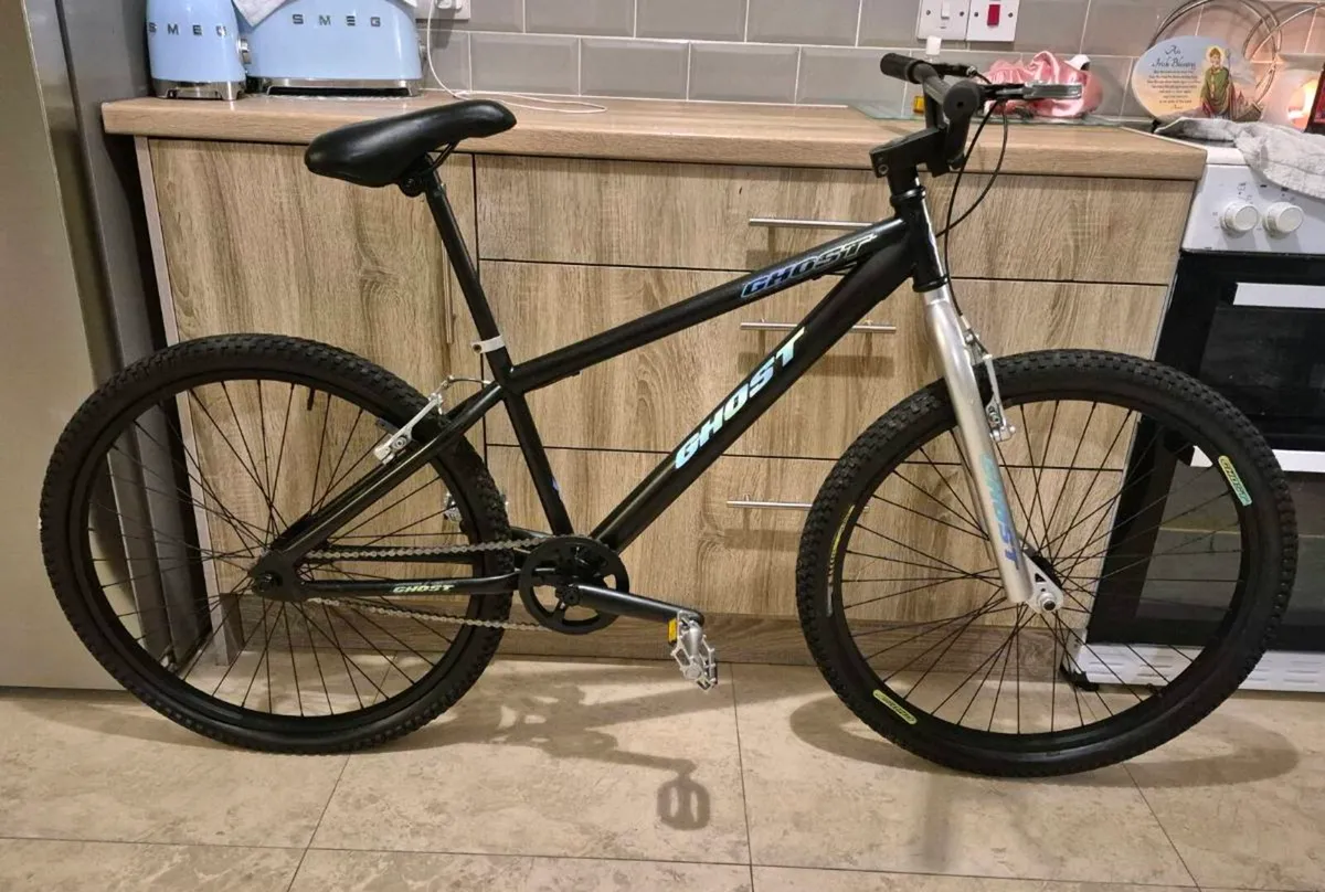 CUSTOM-MADE BIG BMX BIKE EVERYTHING DONE ON IT CON - Image 1