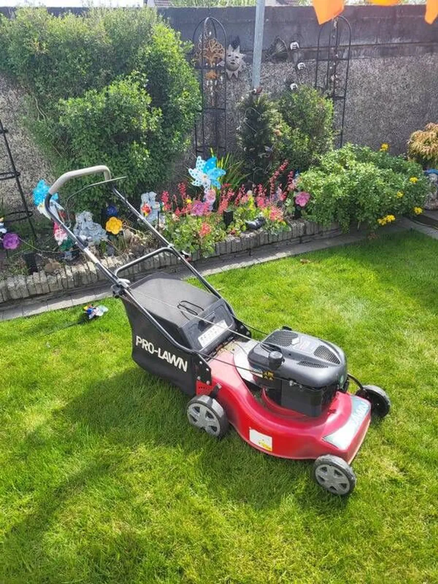 Petrol Lawnmower - Image 1