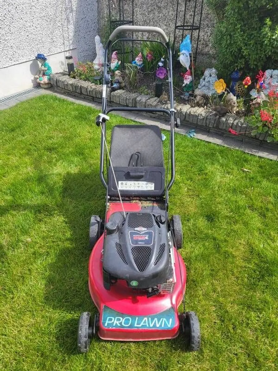 Petrol Lawnmower - Image 2