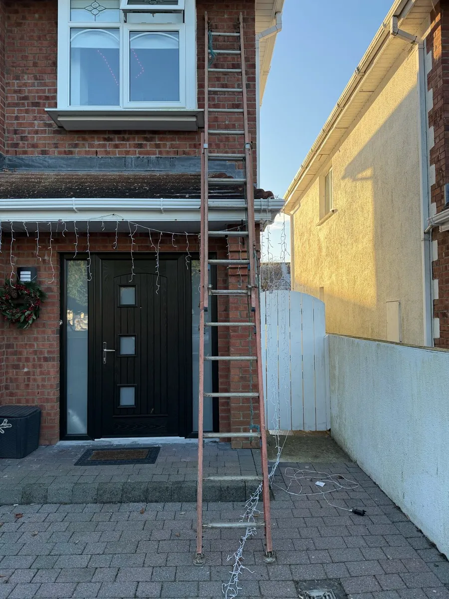 Heavy Duty Extended ESB Ladder