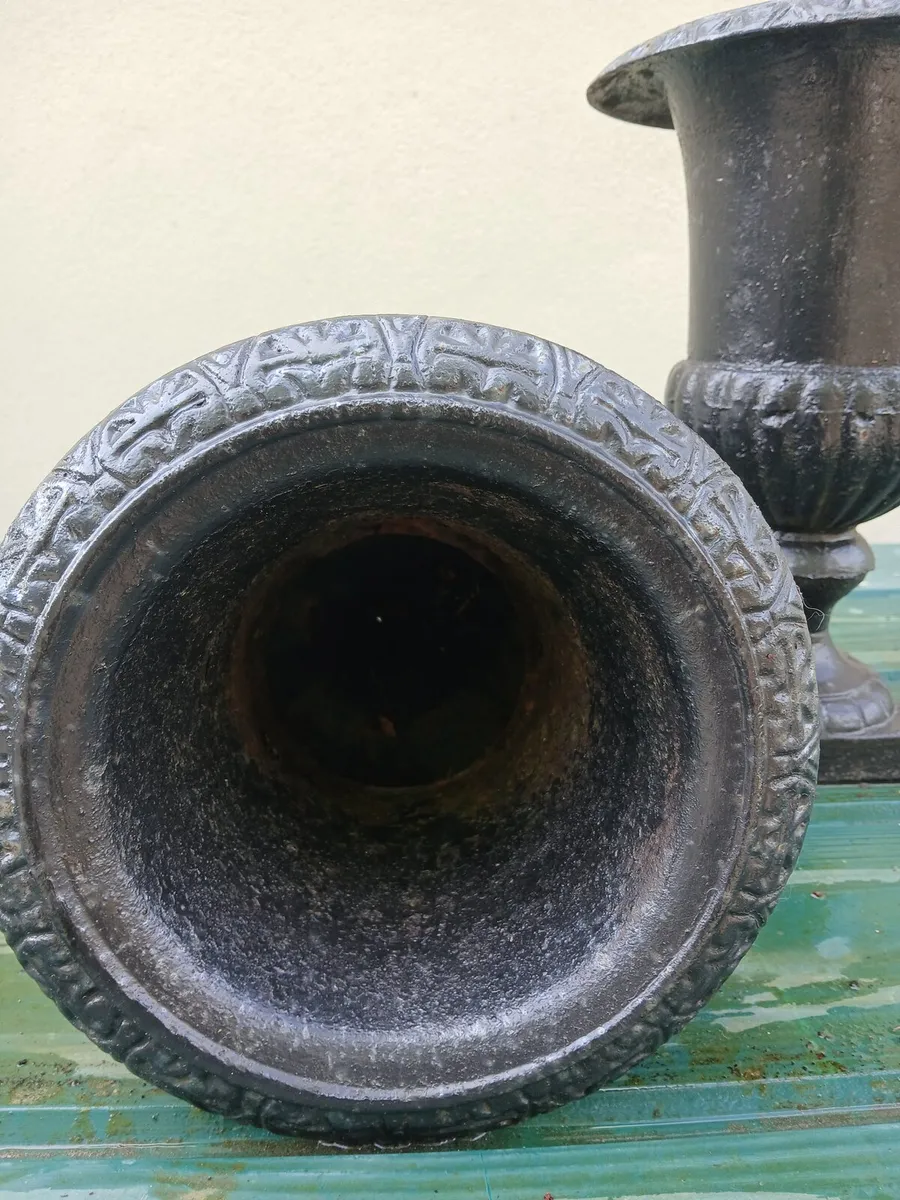 Cast iron planters - Image 2