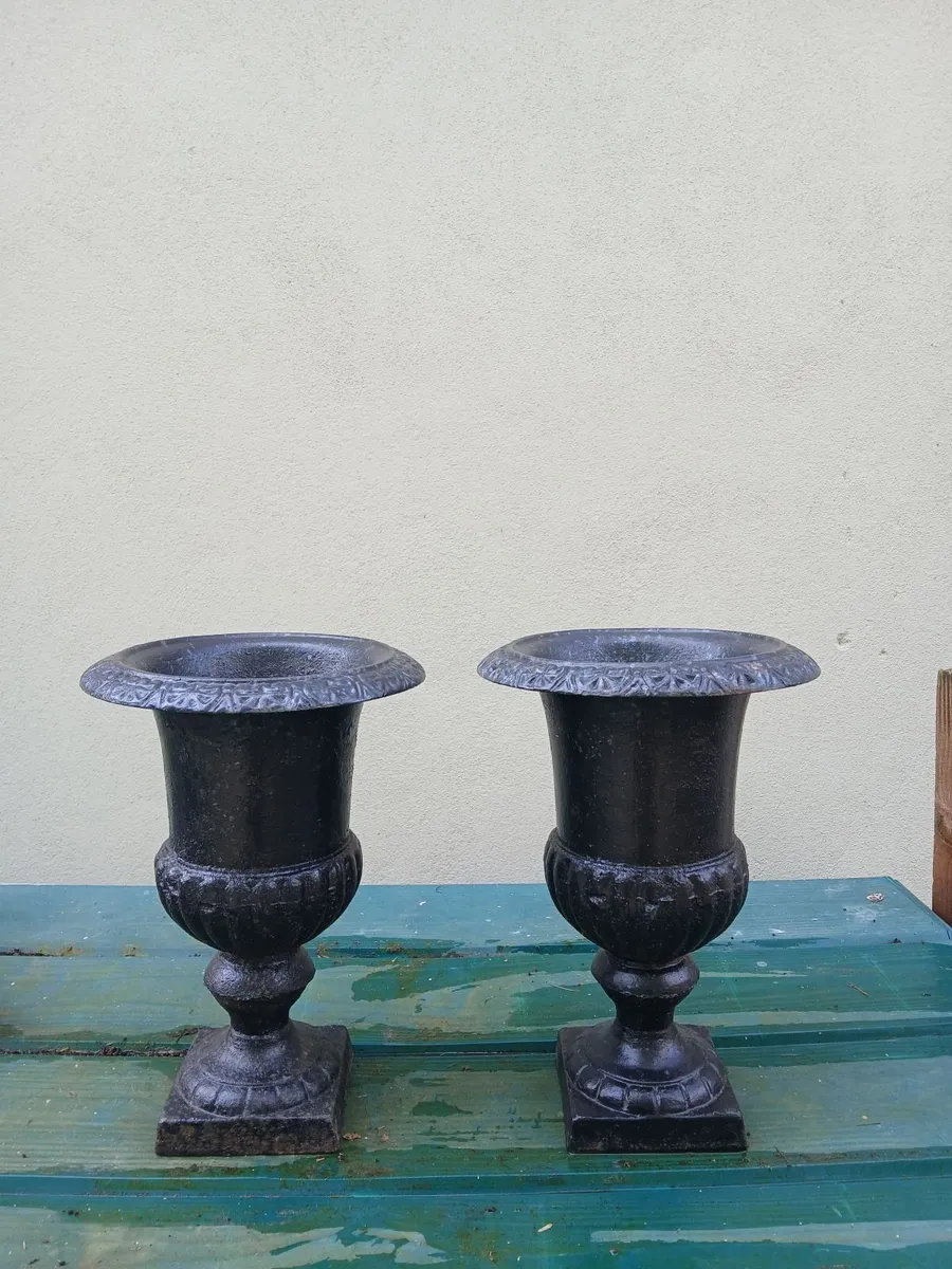 Cast iron planters - Image 1