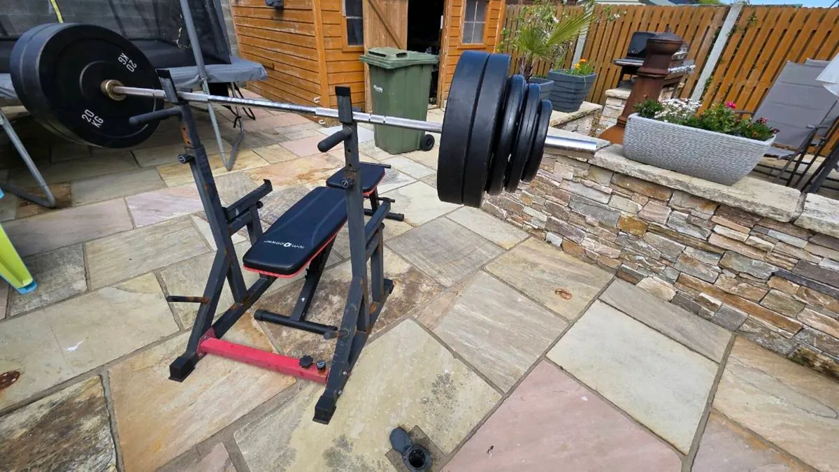 Gym weights plus Barbell - Image 1
