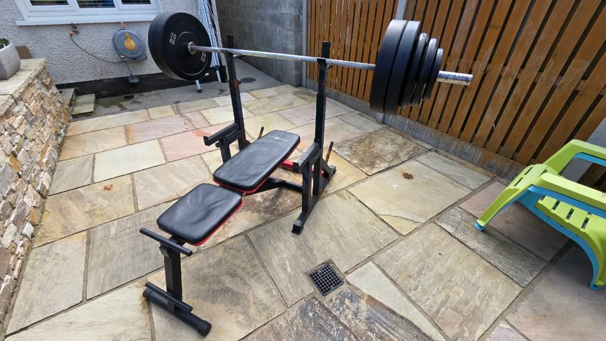Gym weights plus Barbell - Image 2