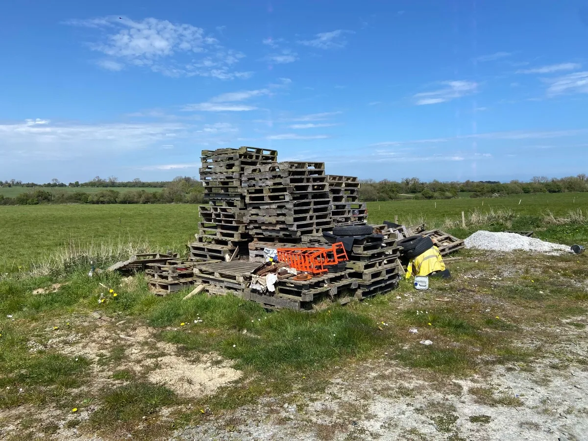 Pallets for sale. - Image 2