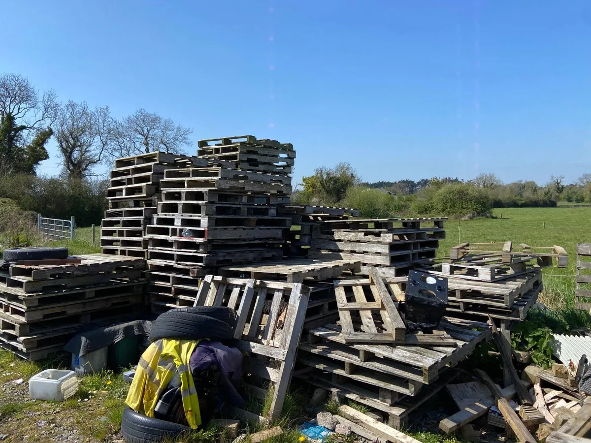 Pallets for sale. - Image 1