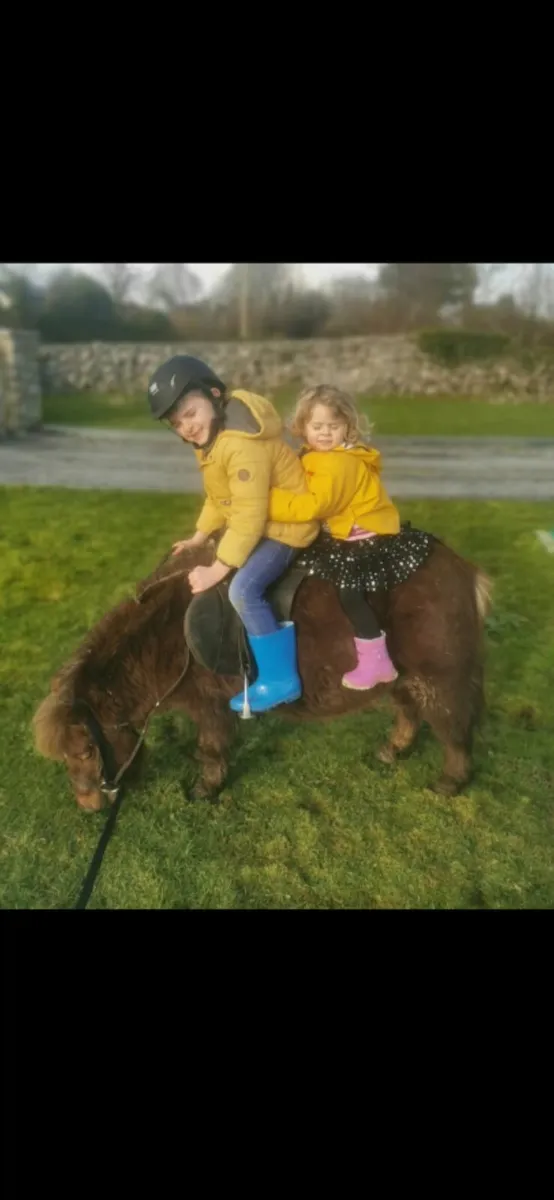 BUBBLES FOR SALE - Image 2