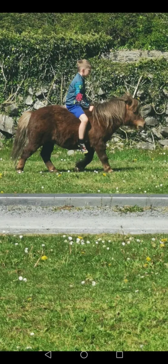 BUBBLES FOR SALE - Image 3