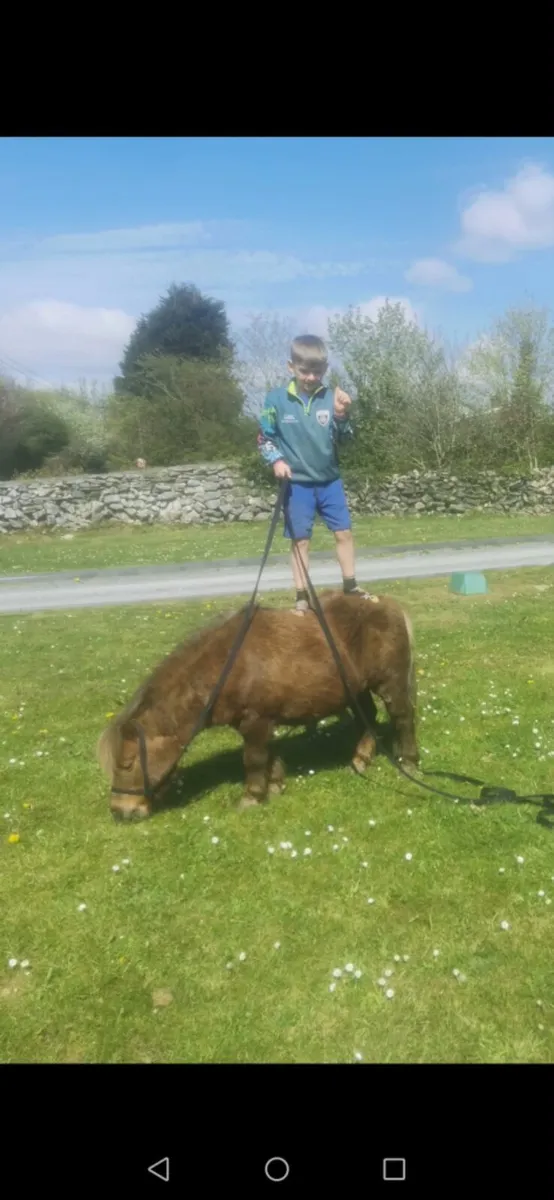 BUBBLES FOR SALE - Image 4