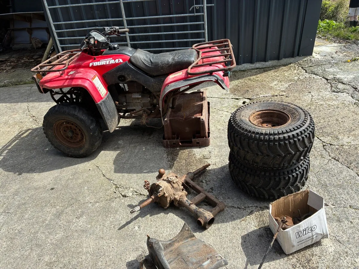 Honda Fourtrax 250 - Image 2