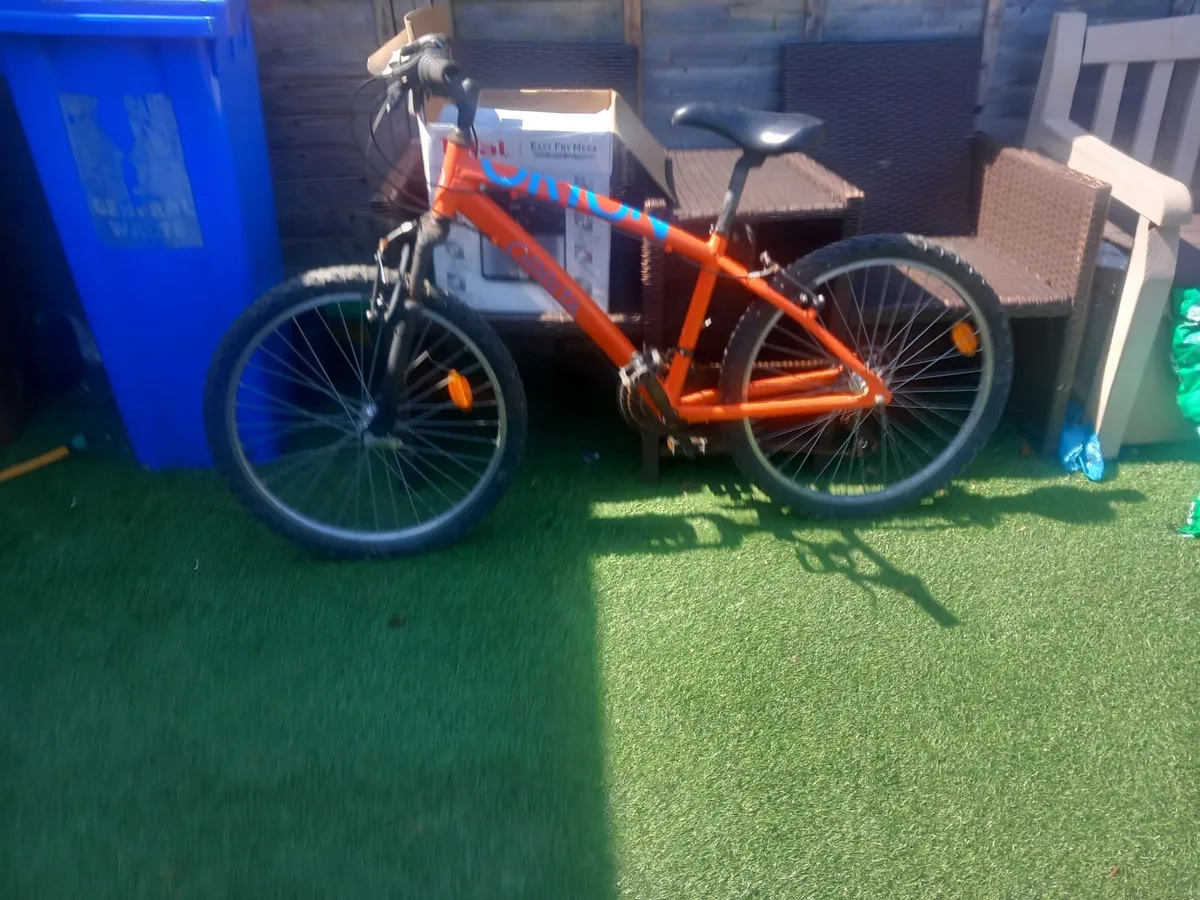 teenager mountain bike - Image 1