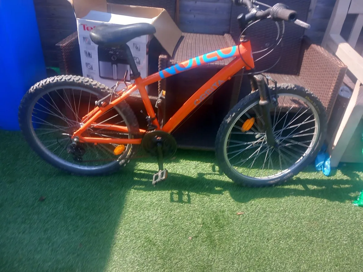 teenager mountain bike - Image 2