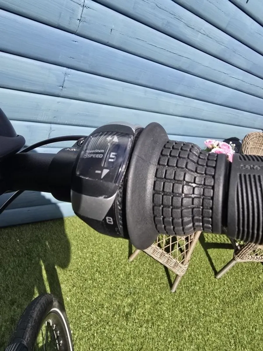 Electric Bicycle - Image 4