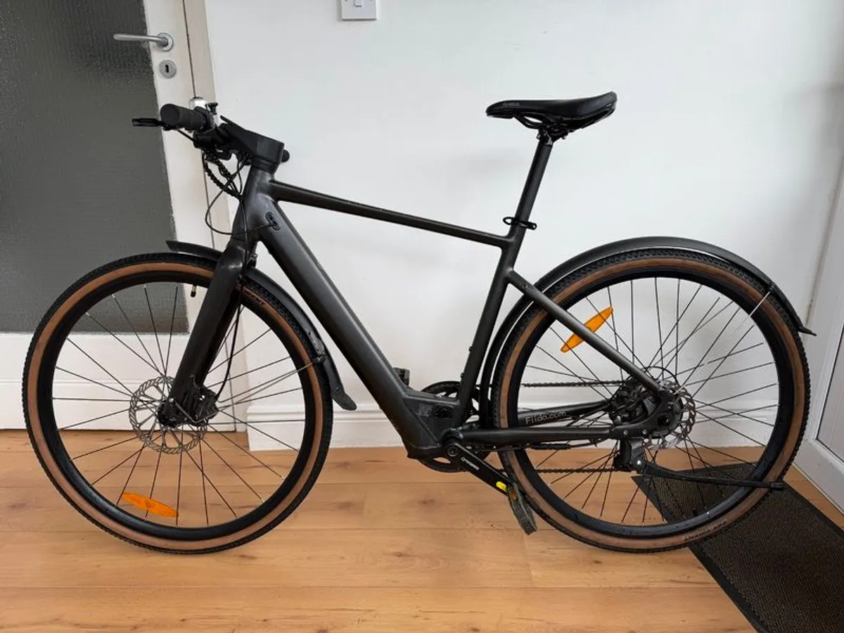 Fiido C21 (Grey, Medium suits 160 to 175cm) - Image 2