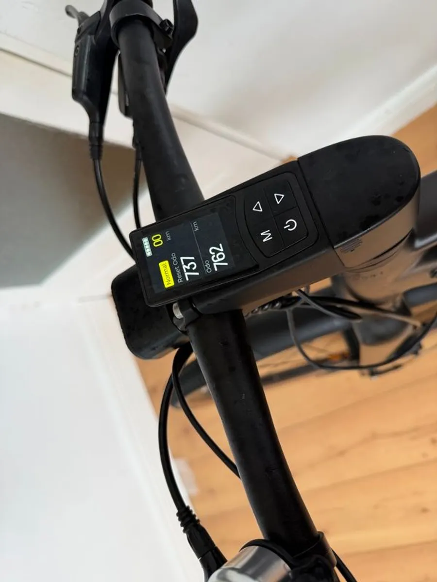 Fiido C21 (Grey, Medium suits 160 to 175cm) - Image 3