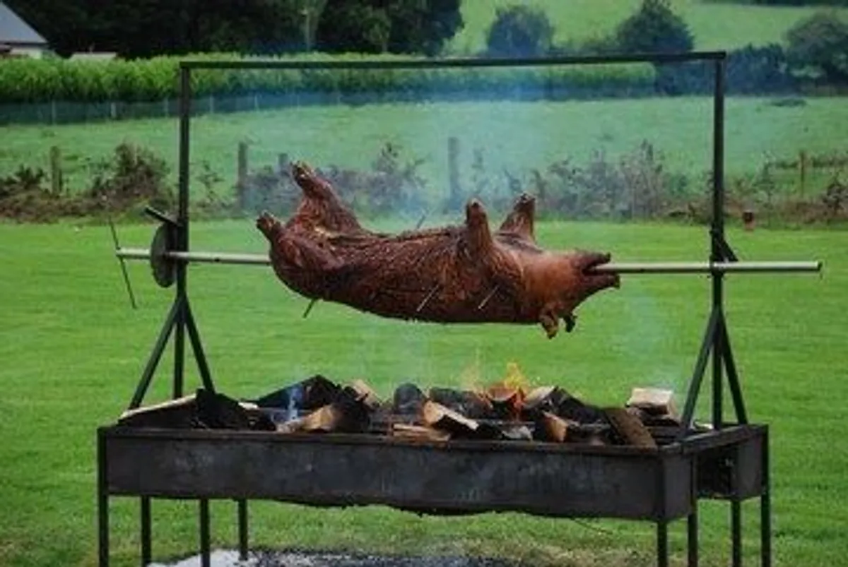 Spit roast equipment - Image 1