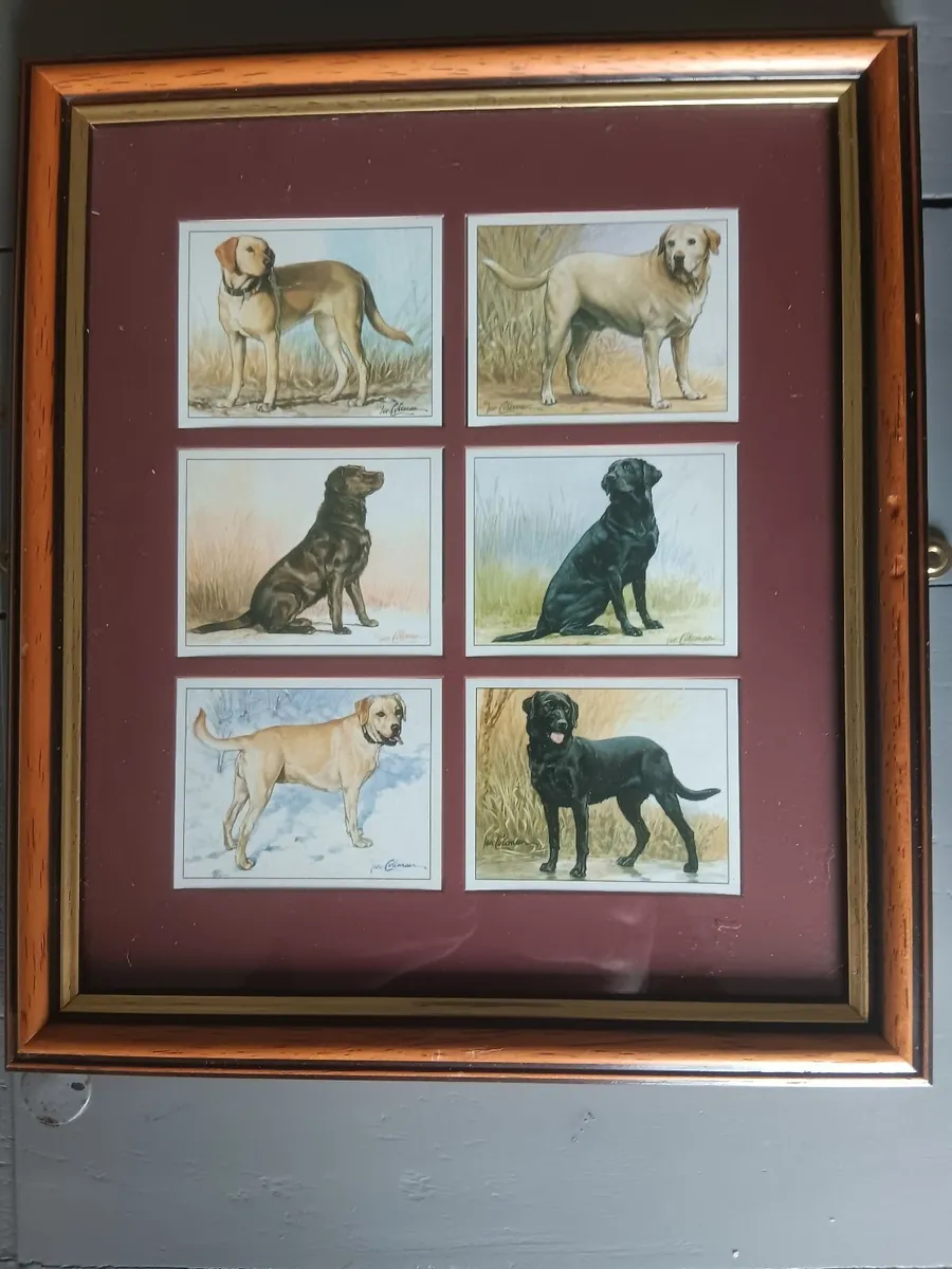 Cigarette cards - Image 2